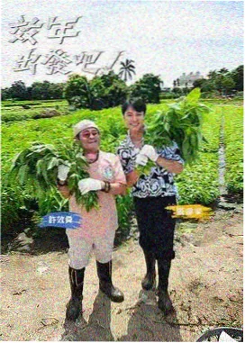 侧边图鉴现场收音示意